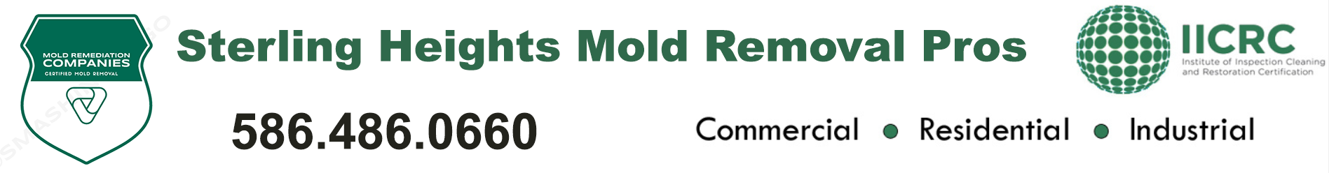 Sterling Heights Mold Removal Pros