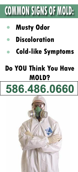 Sterling Heights Mold Remediation Contractor